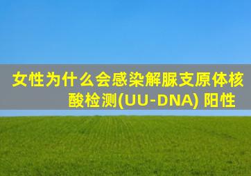 女性为什么会感染解脲支原体核酸检测(UU-DNA) 阳性